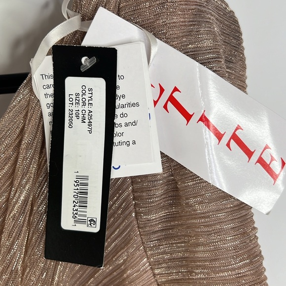 BETSY & ADAM NWT CELINE BOAT NECK CHAMPAGNE CRINKLE GOWN SZ 10 P - Picture 10 of 11